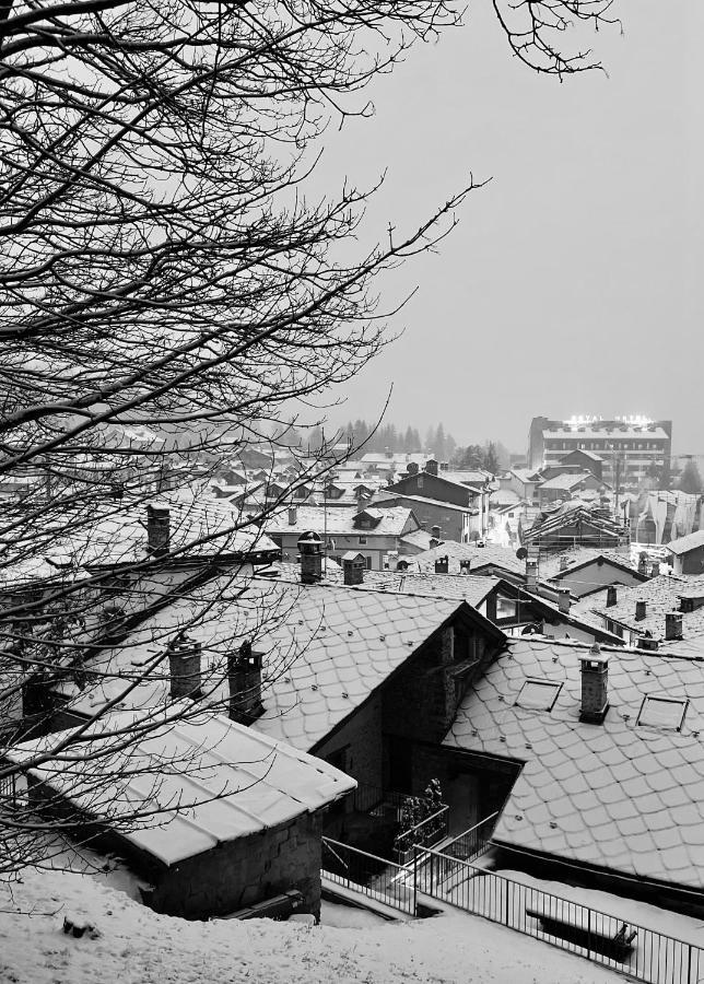 Chalet Blanc "La Mansarda" Courmayeur Exterior photo